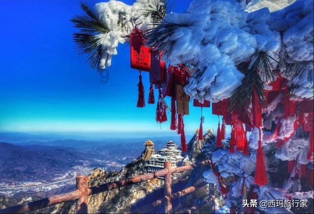 拯救精灵的土地5